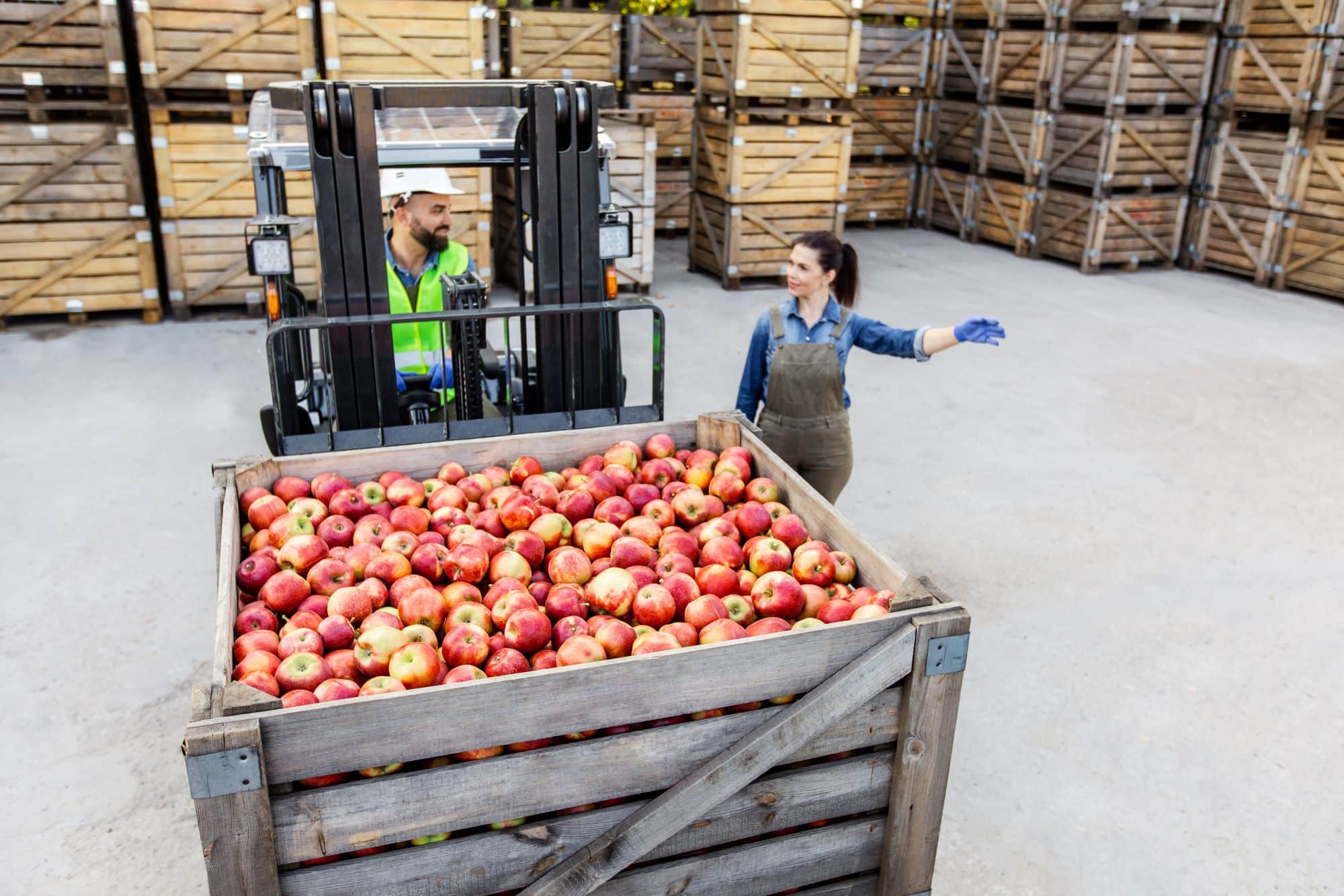 EDI 876: Grocery Products Purchase Order Change