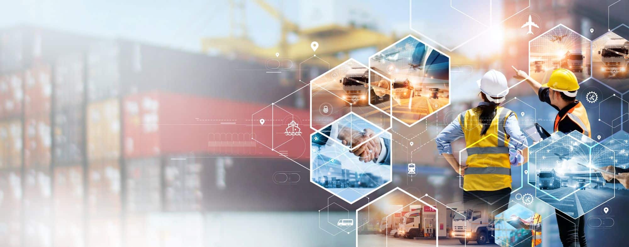 Supply chain and logistics network visualization
